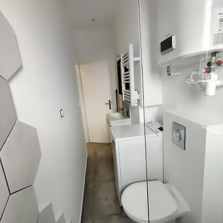 Apartment Loft Chic Avec Mezzanine Contemporaine Venissieux